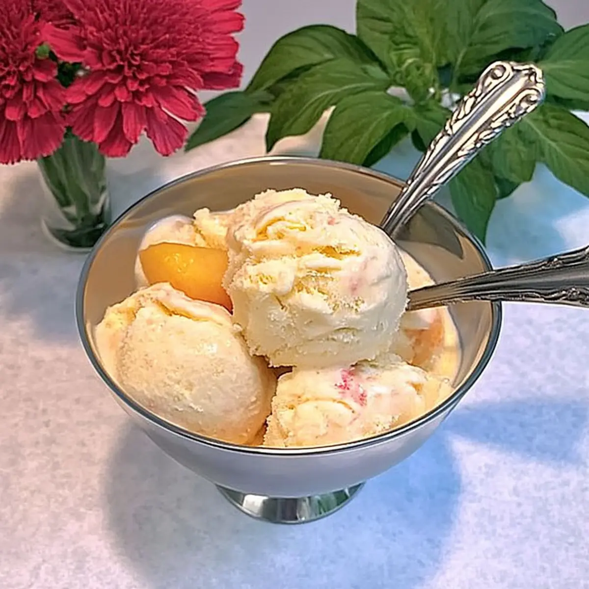 Homemade Frozen Yogurt with Peaches and Nectarines Bliss